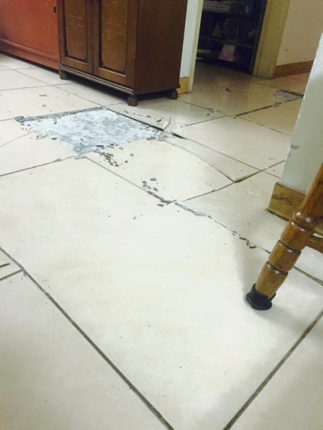 圖片來源：陳櫻丹‎●【爆料公社】●