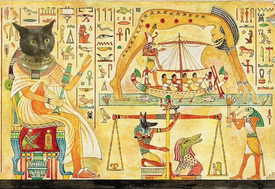 圖片來源：king_dovidas/reddit