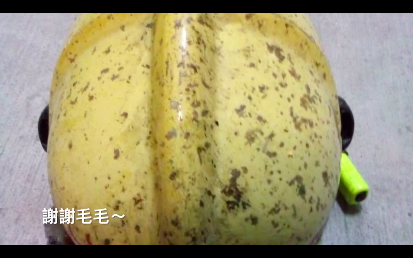 圖片來源：嘉義市政府消防局第一分隊-太陽分隊