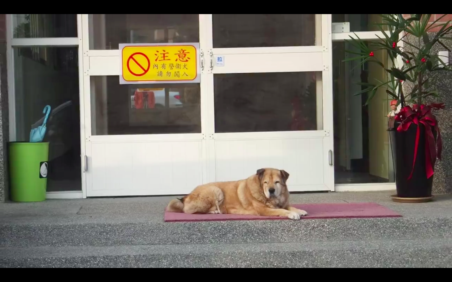 圖片來源：嘉義市政府消防局第一分隊-太陽分隊
