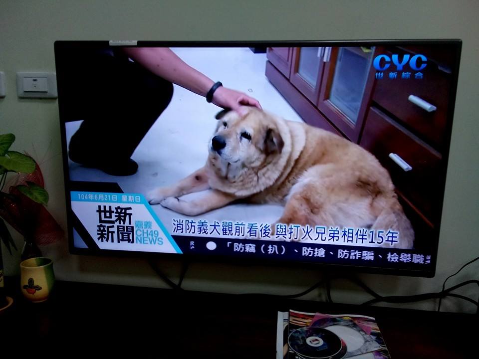 圖片來源：嘉義市政府消防局第一分隊-太陽分隊