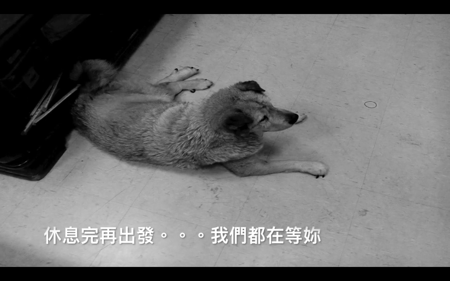 圖片來源：嘉義市政府消防局第一分隊-太陽分隊