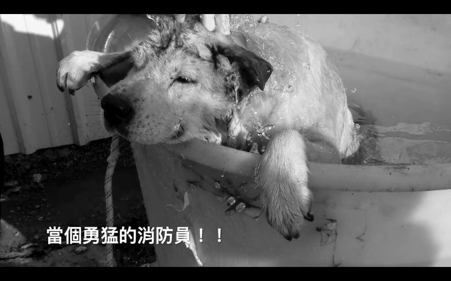 圖片來源：嘉義市政府消防局第一分隊-太陽分隊