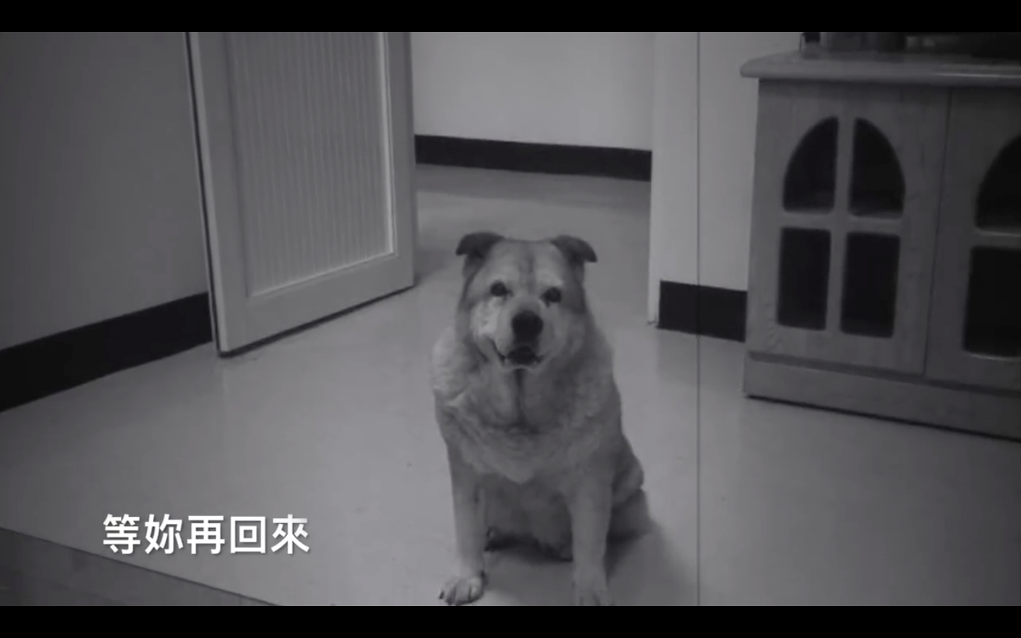 圖片來源:嘉義市政府消防局第一分隊-太陽分隊