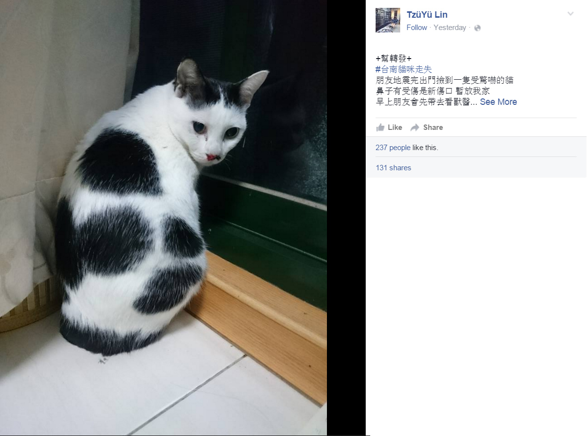 圖片來源:TzüYü Lin/Facebook