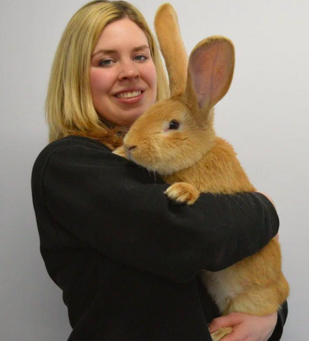 圖片來源：Metro