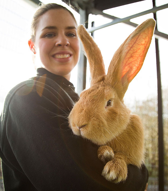 圖片來源：Metro