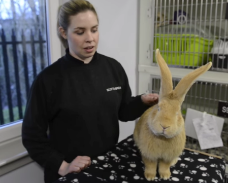 圖片來源：Metro