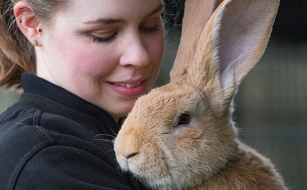 圖片來源：Metro