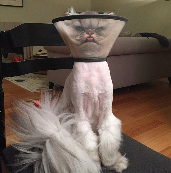 圖片來源：Metro