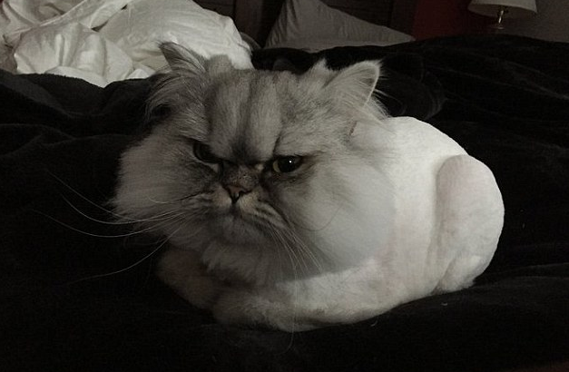 圖片來源：Metro