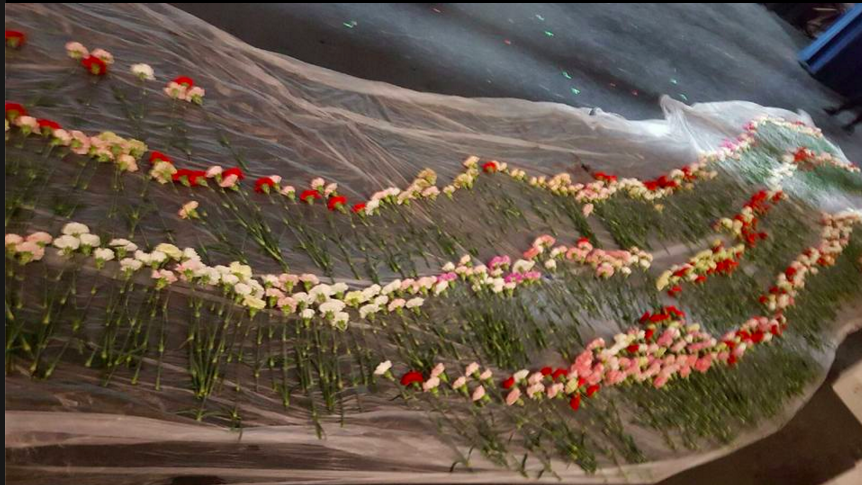 圖片來源：Hayden Godfrey / Facebook 