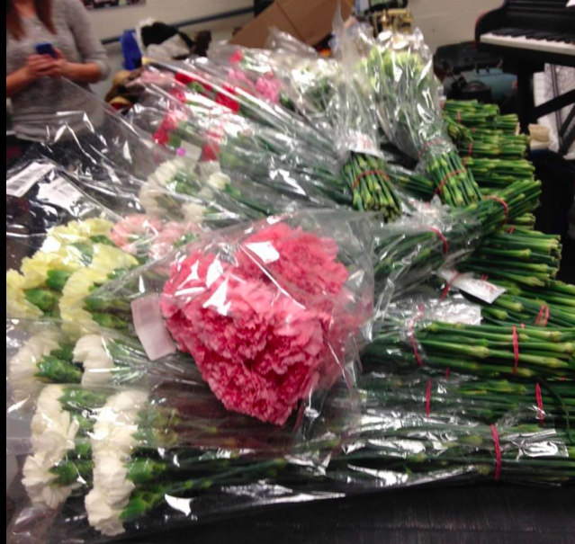 圖片來源：Hayden Godfrey / Facebook 