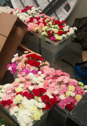 圖片來源：Hayden Godfrey / Facebook 