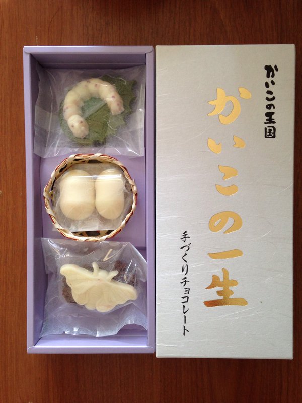 圖片來源：MA_chikori/twitter