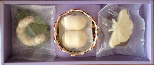 圖片來源：MA_chikori/twitter