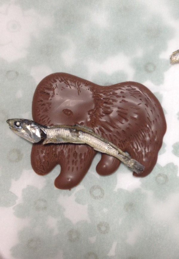 圖片來源：gt2y/twitter