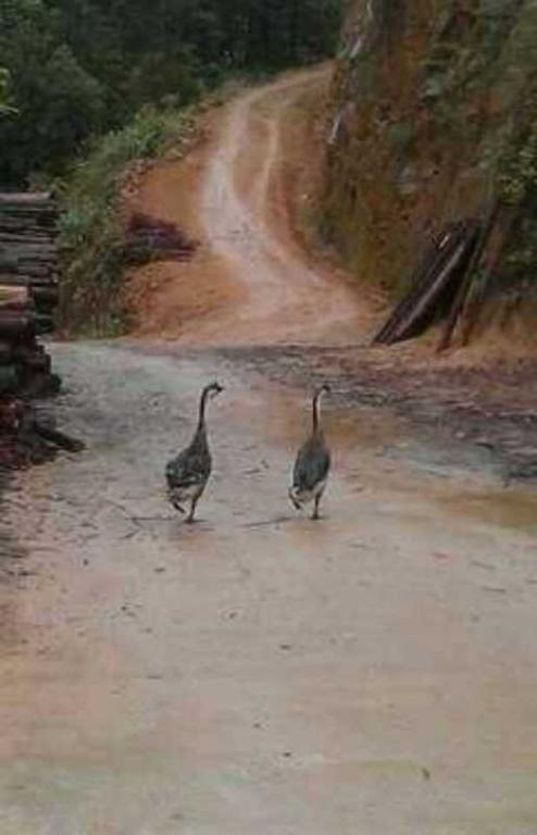 圖片來源:overseaswindow