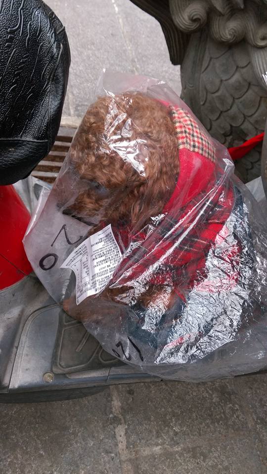 圖片來源：Min Hui Li‎●【爆料公社】●