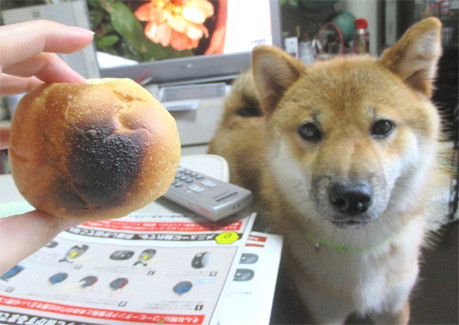 圖片來源：Daily Portal