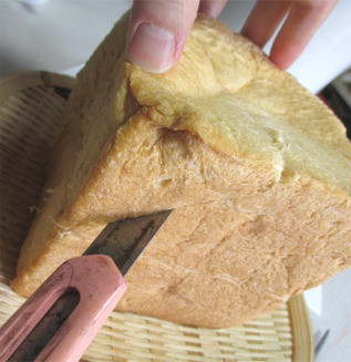 圖片來源：Daily Portal