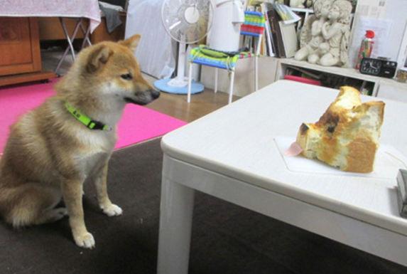 圖片來源：Daily Portal