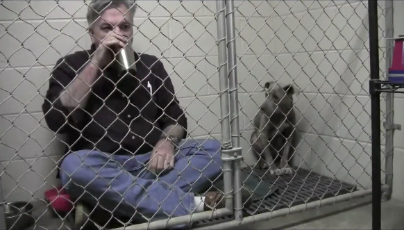 圖片來源：GraniteHillsVet