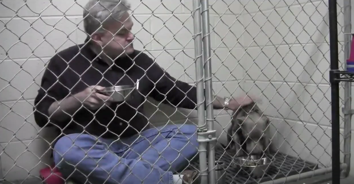 圖片來源：GraniteHillsVet