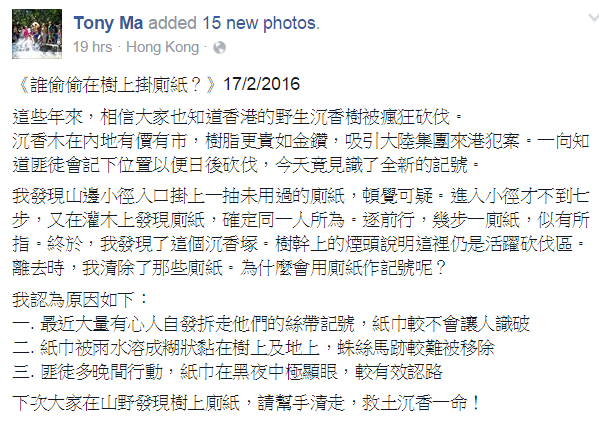 圖片來源：Tony Ma