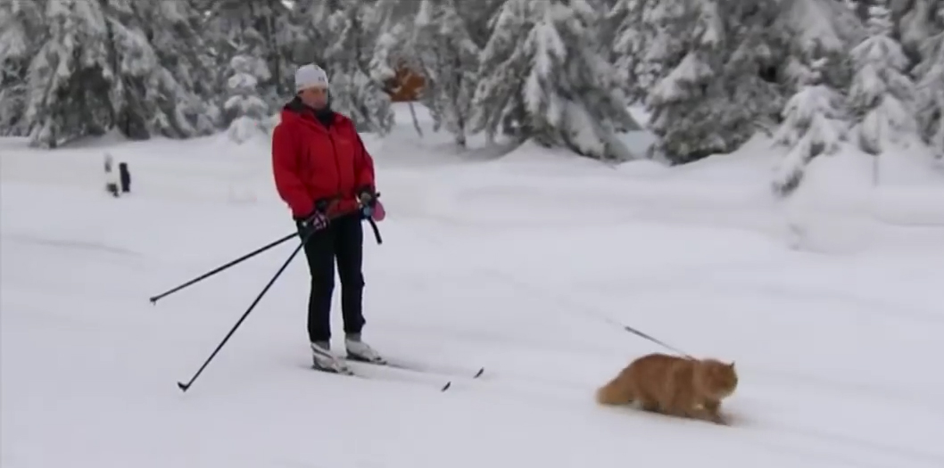 圖片來源：News Today