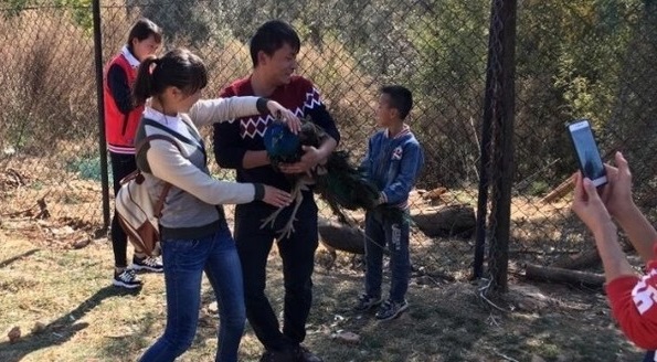 圖片來源:直播雲南/微博