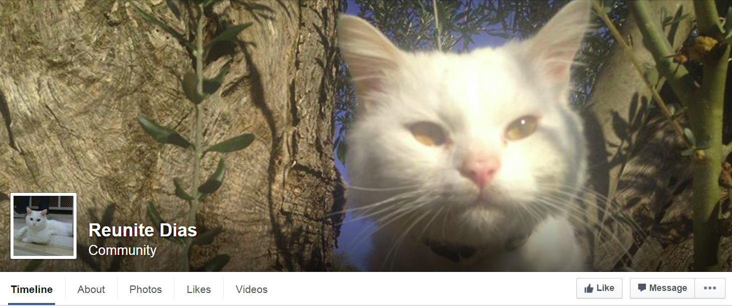 圖片來源:Reunite Dias/facebook