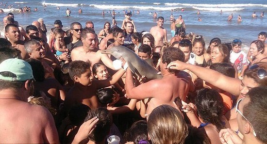 圖片來源:圖片來源:La Nacion