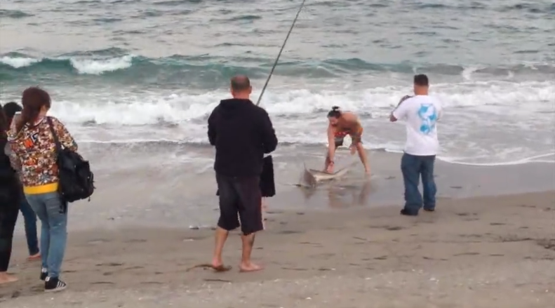 圖片來源:英國《每日郵報》