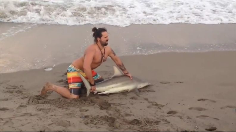 圖片來源:英國《每日郵報》