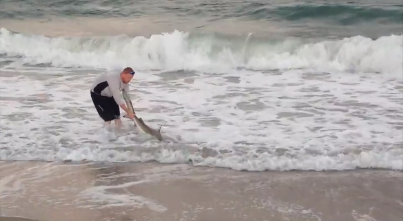 圖片來源:英國《每日郵報》