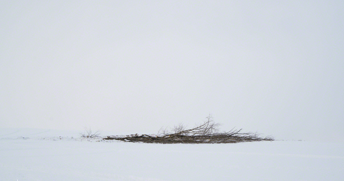 圖片來源：Kent Shiraishi