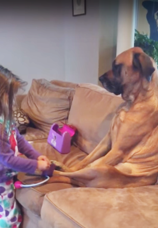 圖片來源：YouTube