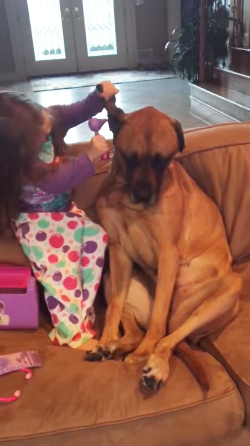 圖片來源：YouTube