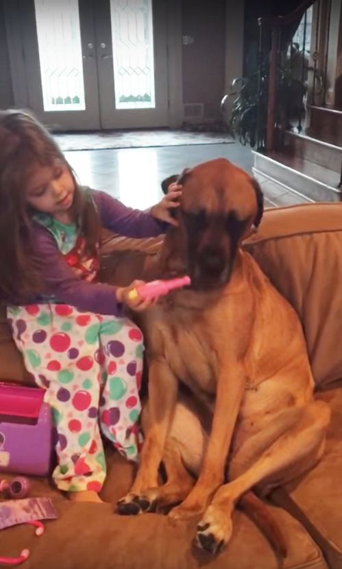 圖片來源：YouTube