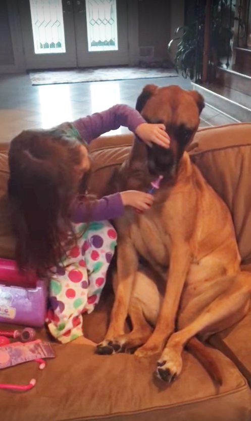 圖片來源：YouTube