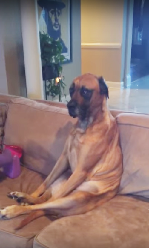 圖片來源：YouTube