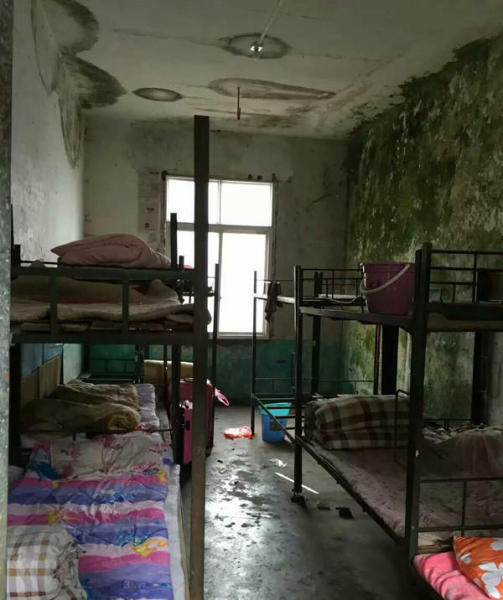 圖片來源：阿波羅