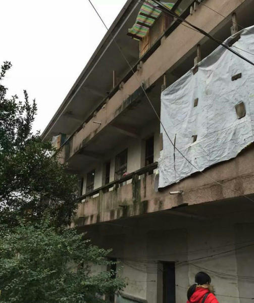 圖片來源：阿波羅