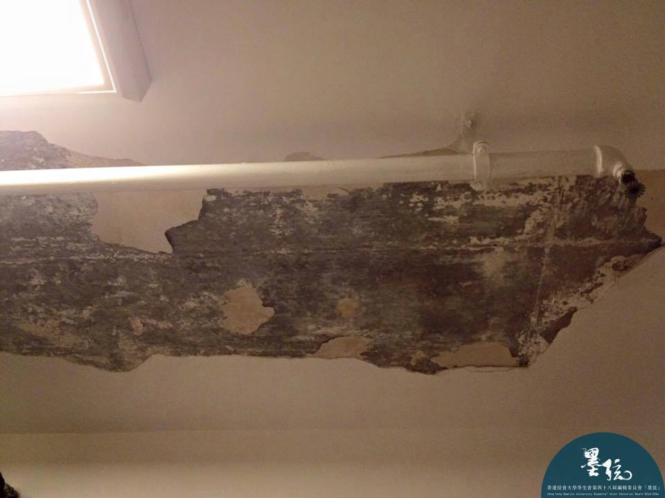 圖片來源：香港浸會大學學生會編輯委員會