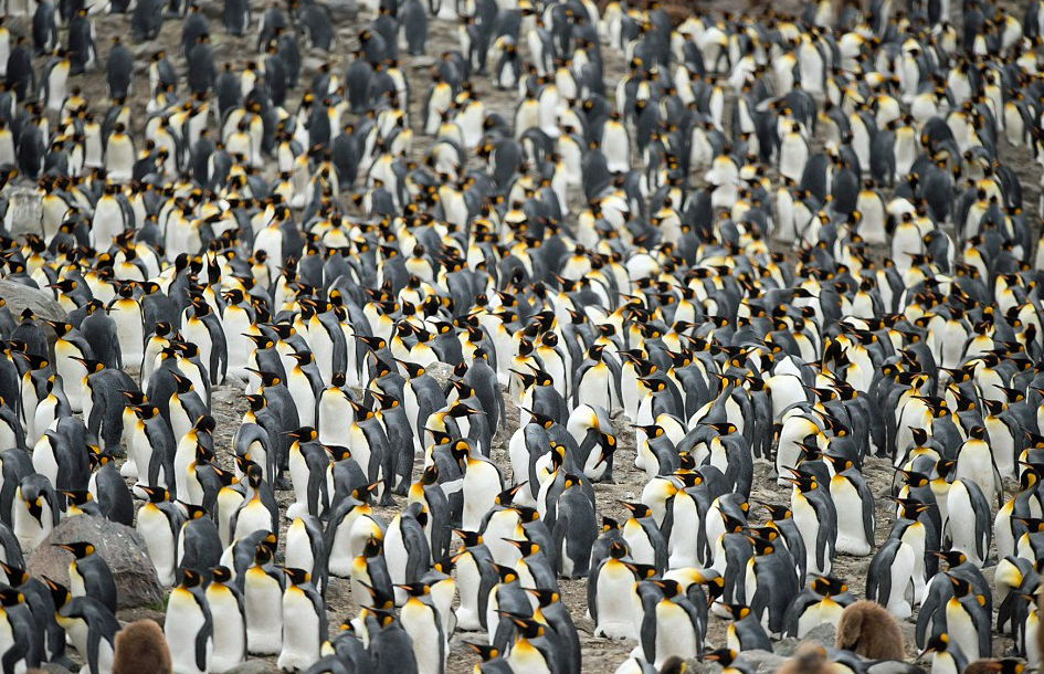 圖片來源:Daily Mail