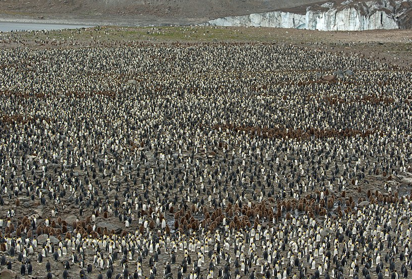 圖片來源:Daily Mail