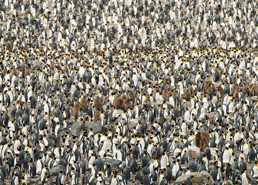 圖片來源:Daily Mail