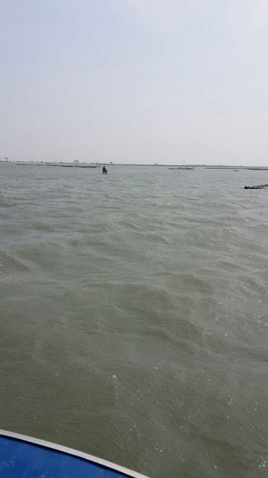 圖片來源:林坤緯/爆料公社