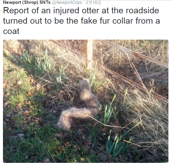 圖片來源:newportcops/twitter